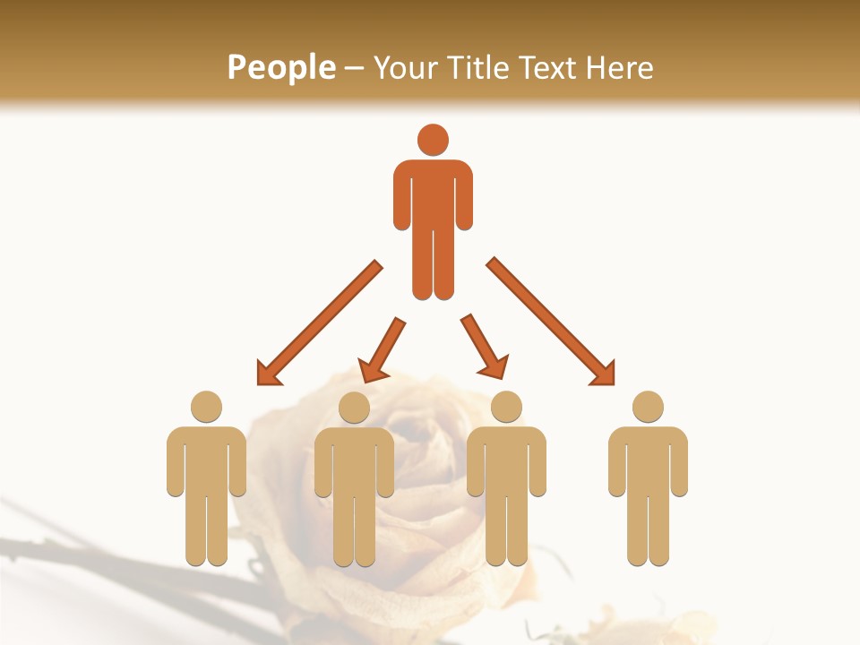 Birthday Decorative Congratulate PowerPoint Template