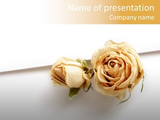 Background Floral Day PowerPoint Template