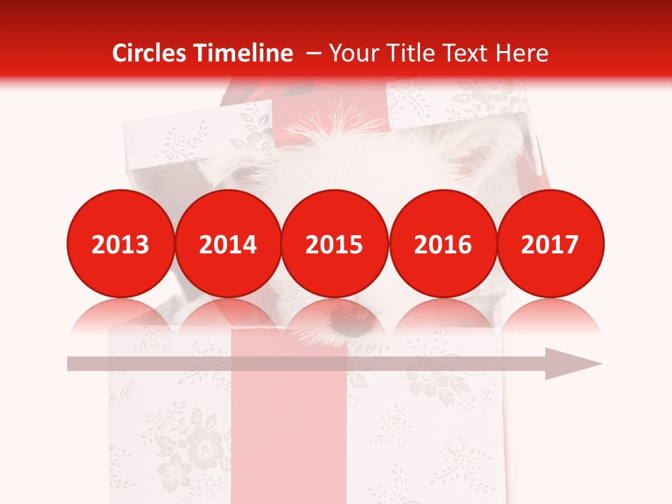 Eye Dog Puppy PowerPoint Template