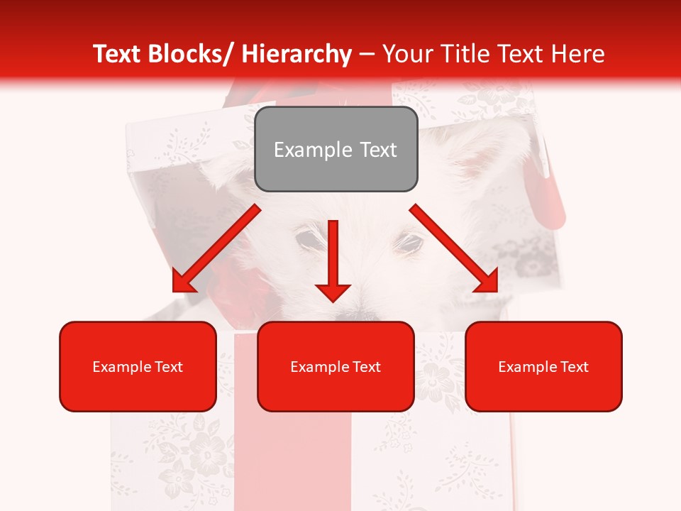 Eye Dog Puppy PowerPoint Template