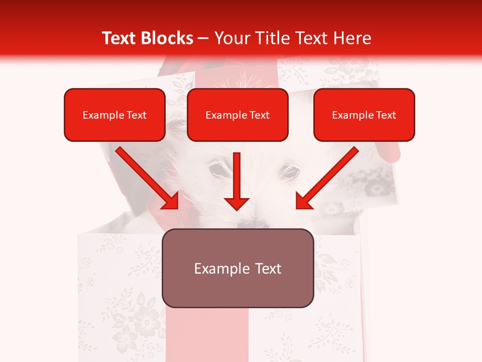 Eye Dog Puppy PowerPoint Template