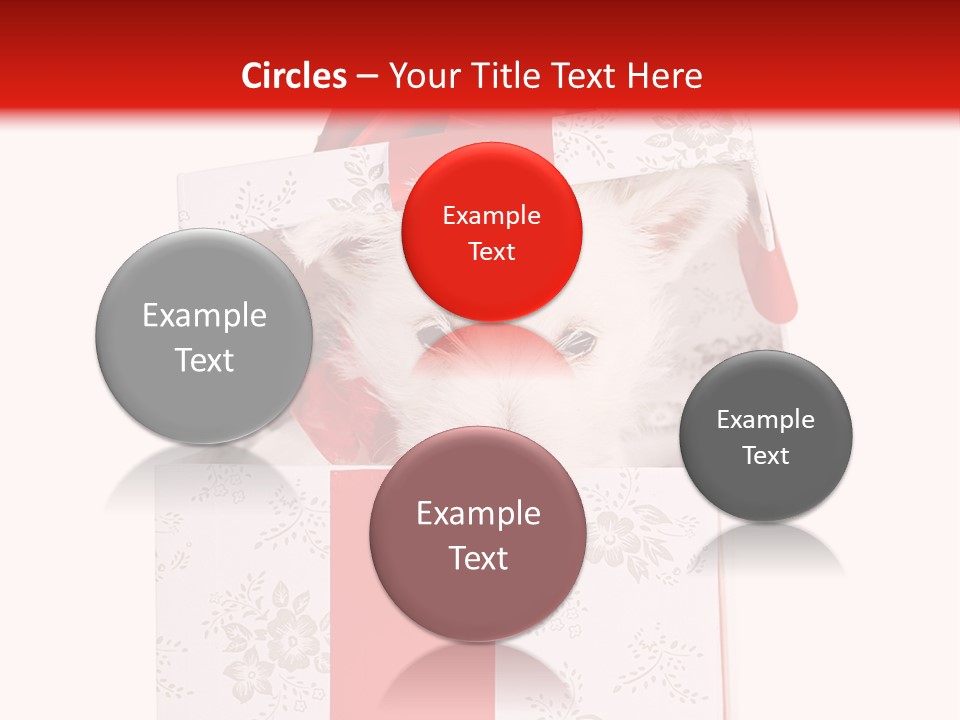 Eye Dog Puppy PowerPoint Template