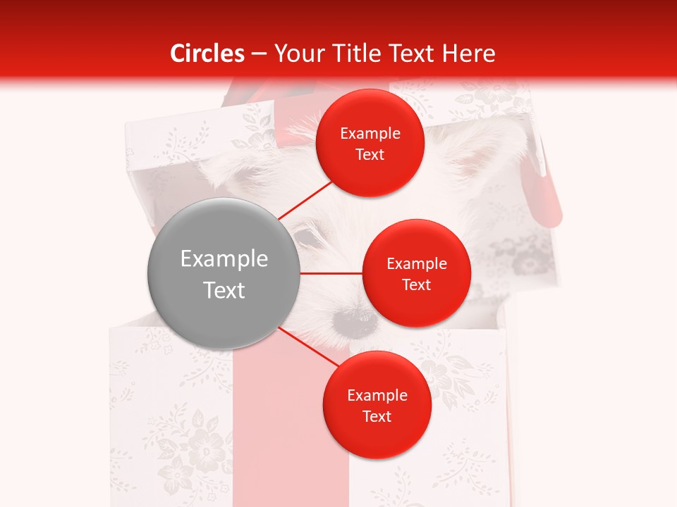 Eye Dog Puppy PowerPoint Template