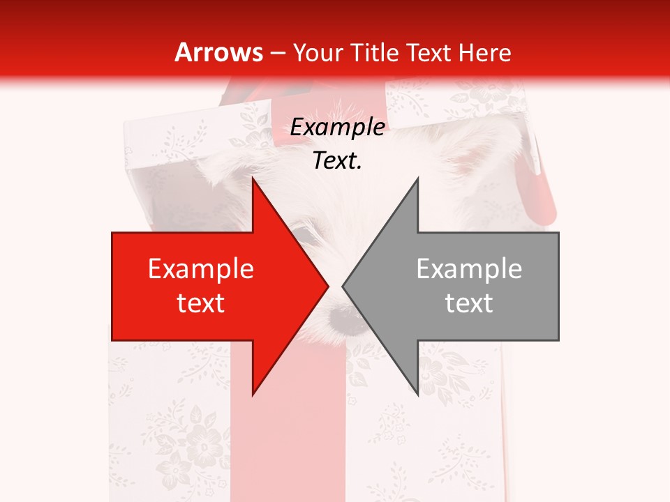 Eye Dog Puppy PowerPoint Template