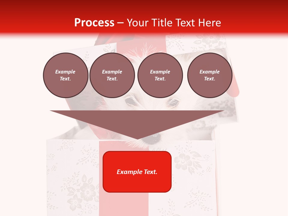 Eye Dog Puppy PowerPoint Template