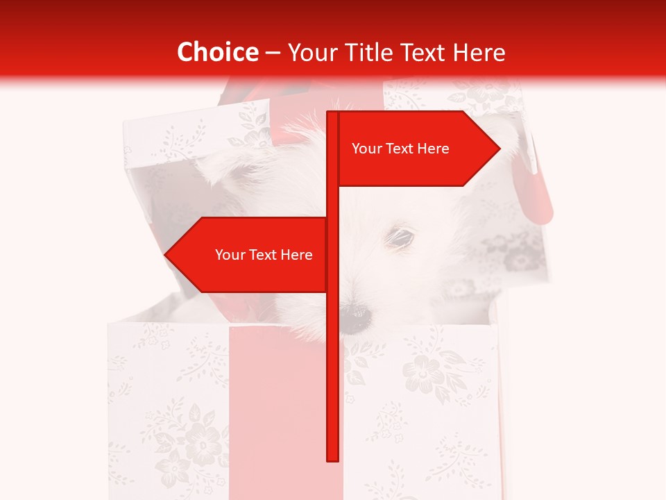 Eye Dog Puppy PowerPoint Template