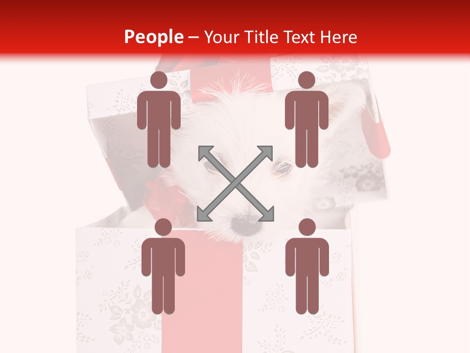 Eye Dog Puppy PowerPoint Template