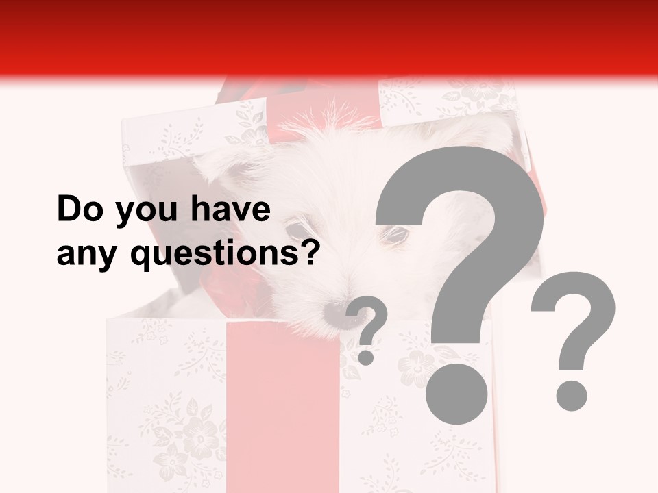 Eye Dog Puppy PowerPoint Template