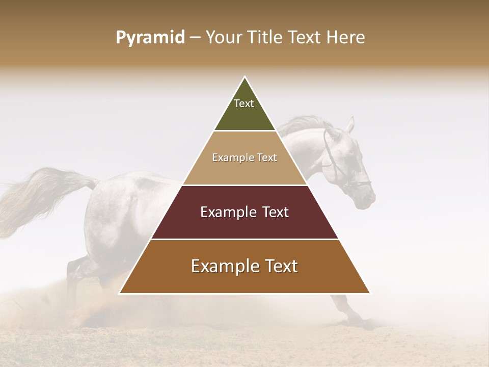 Male Fastest Motion PowerPoint Template