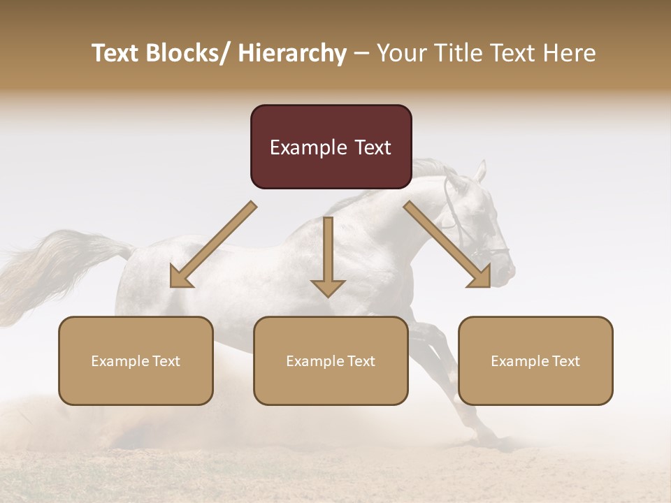 Male Fastest Motion PowerPoint Template