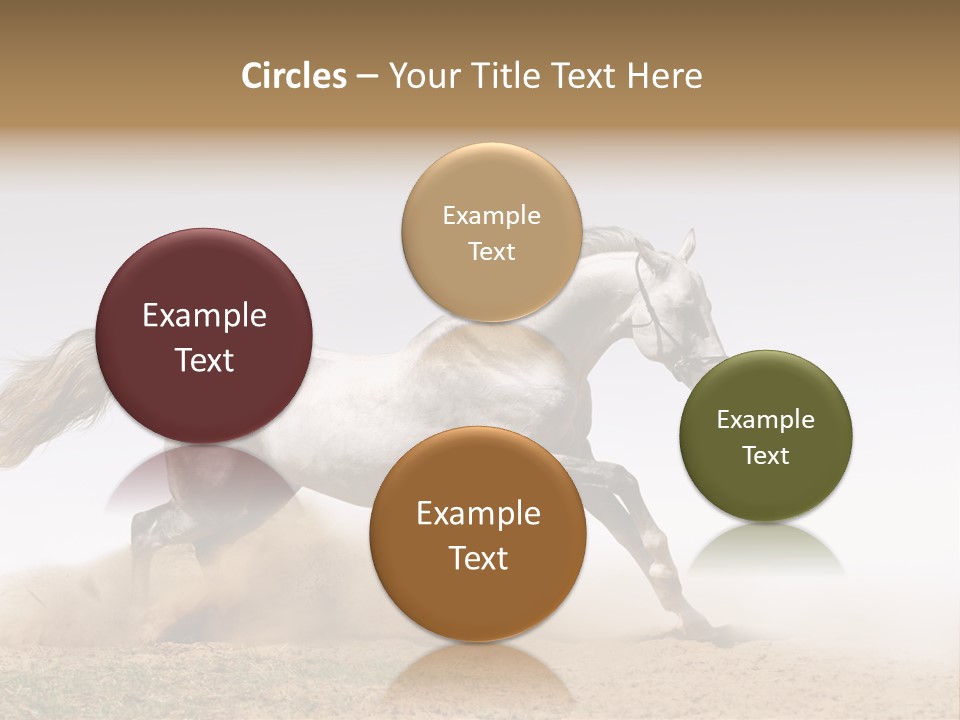 Male Fastest Motion PowerPoint Template