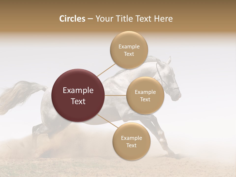 Male Fastest Motion PowerPoint Template