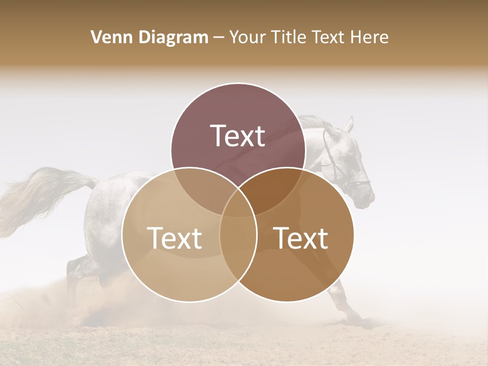 Male Fastest Motion PowerPoint Template