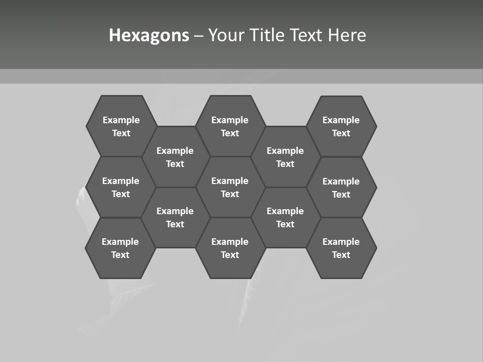 Beauty Studio Businessman PowerPoint Template