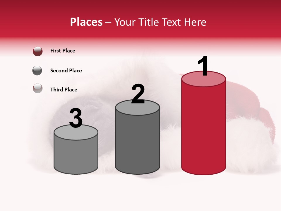 Mammal Kitty Santa PowerPoint Template