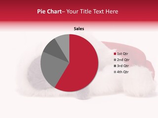 Mammal Kitty Santa PowerPoint Template