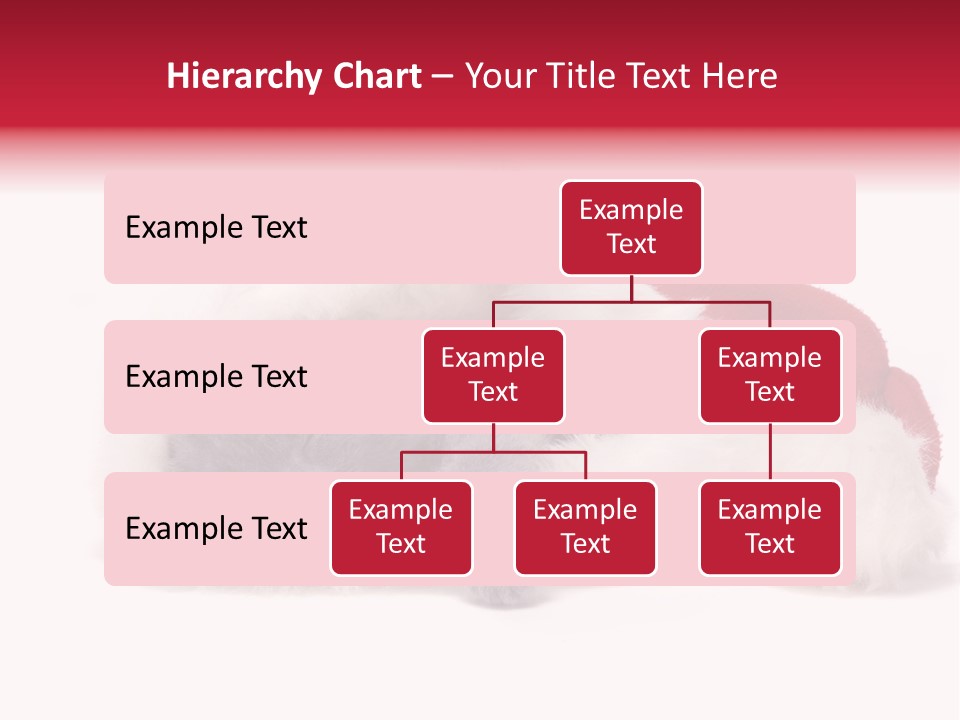Mammal Kitty Santa PowerPoint Template