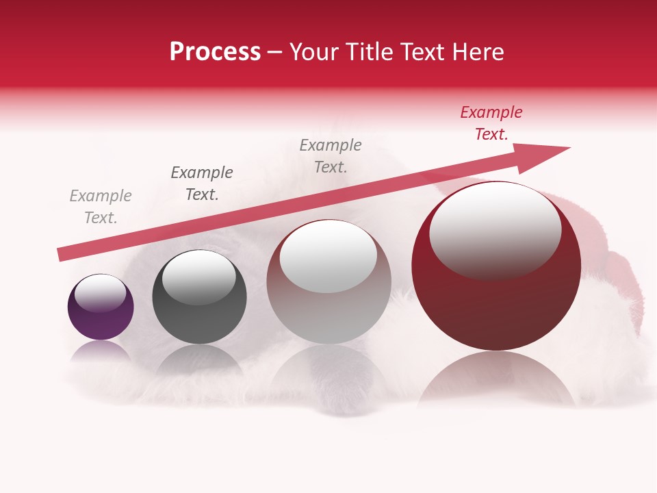 Mammal Kitty Santa PowerPoint Template