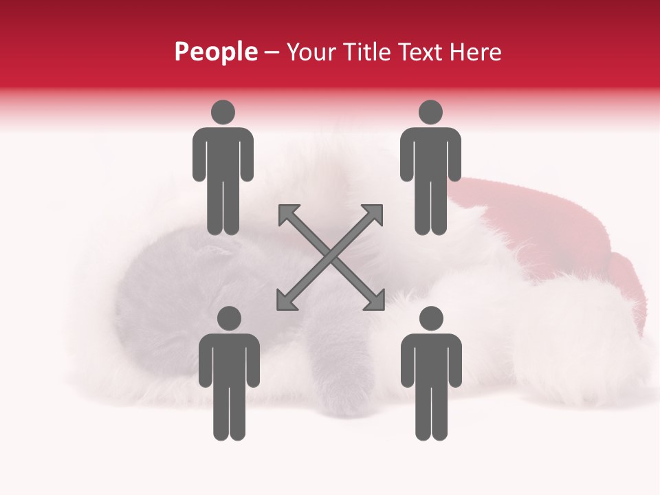Mammal Kitty Santa PowerPoint Template