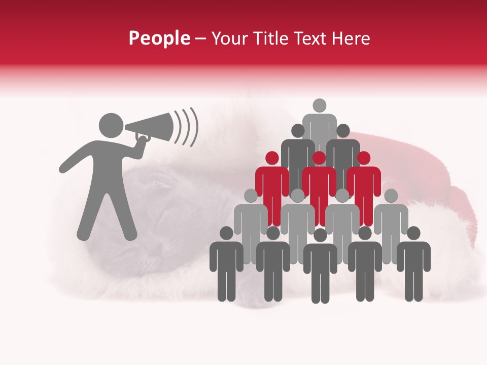 Mammal Kitty Santa PowerPoint Template