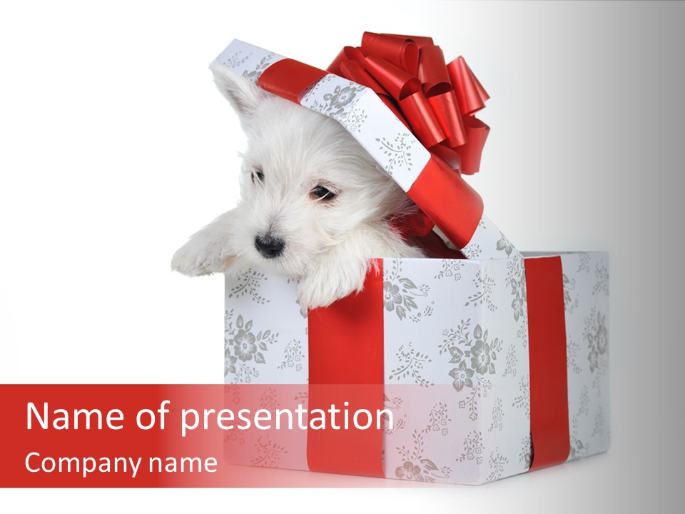 Year Canine Beautiful PowerPoint Template