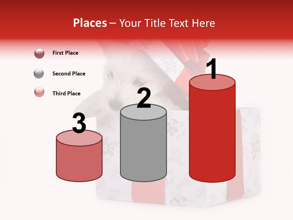 Year Canine Beautiful PowerPoint Template