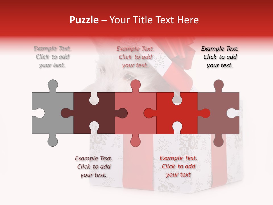 Year Canine Beautiful PowerPoint Template