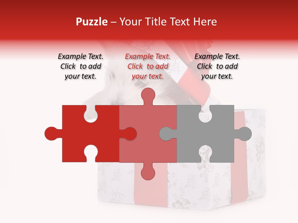 Year Canine Beautiful PowerPoint Template