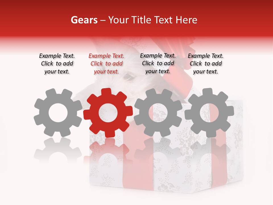 Year Canine Beautiful PowerPoint Template