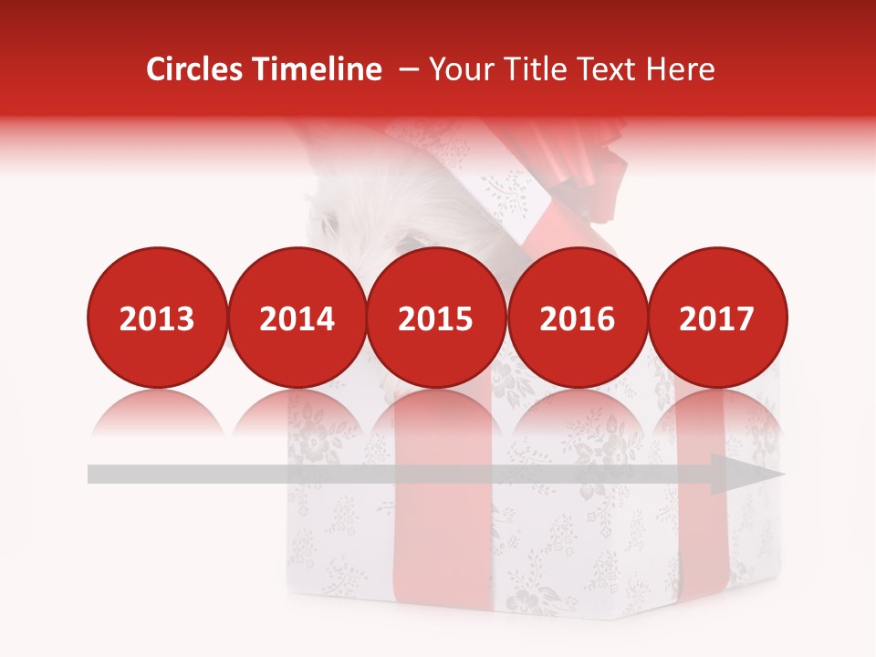 Year Canine Beautiful PowerPoint Template