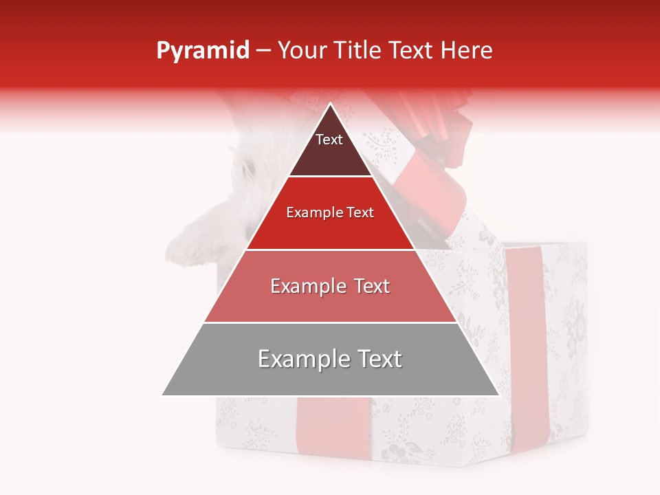 Year Canine Beautiful PowerPoint Template