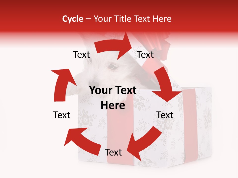 Year Canine Beautiful PowerPoint Template