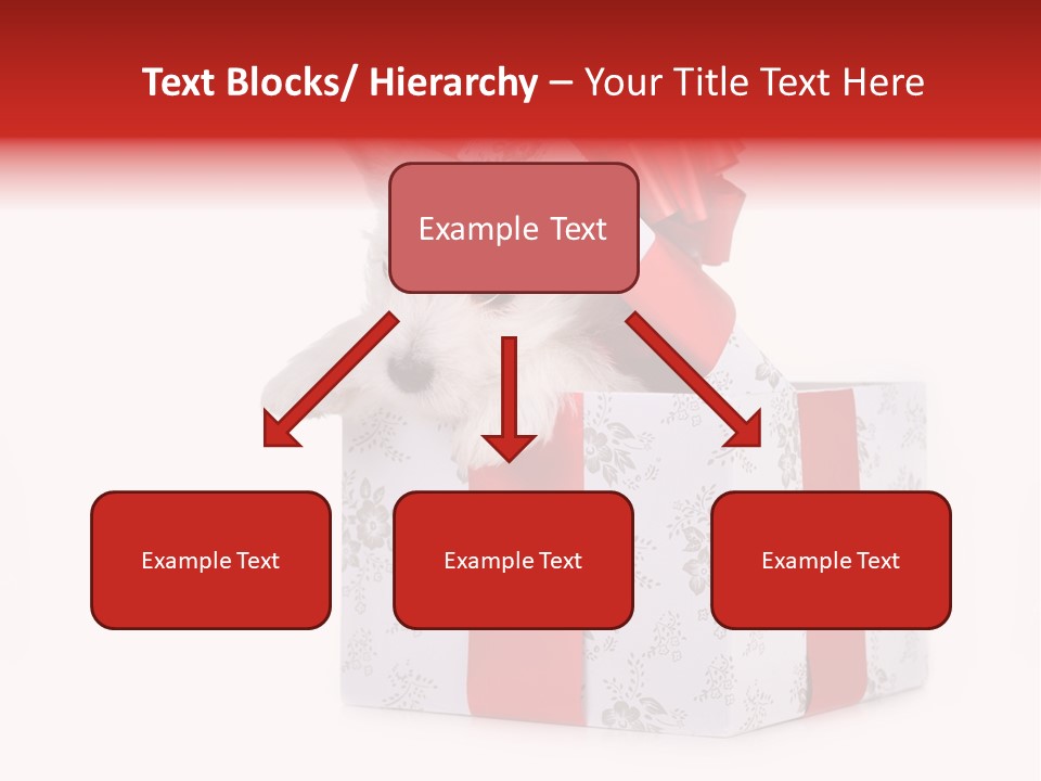 Year Canine Beautiful PowerPoint Template