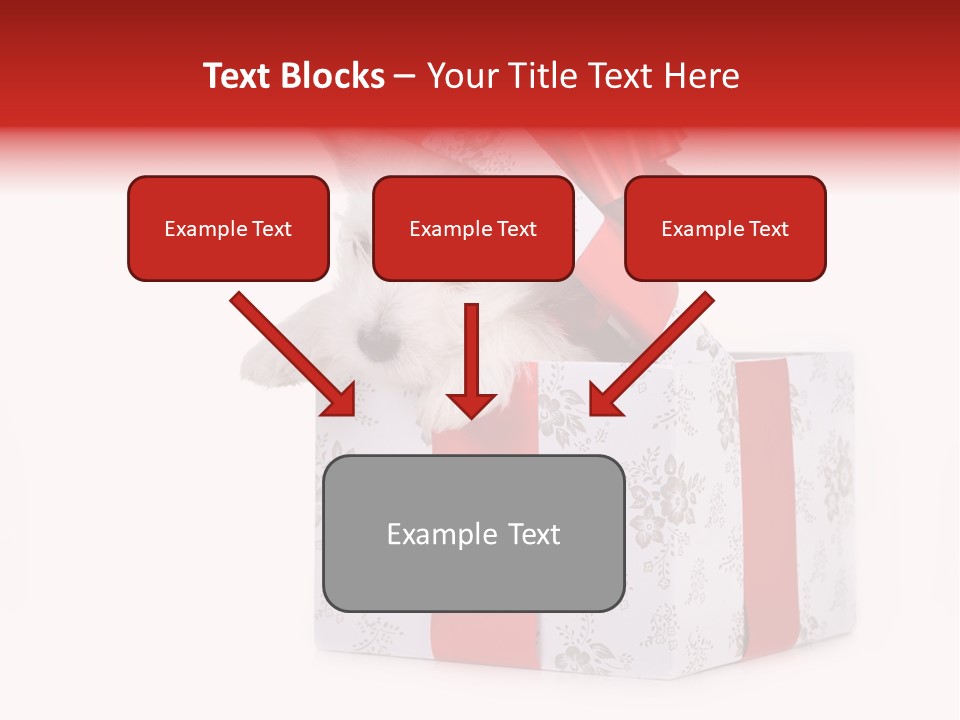 Year Canine Beautiful PowerPoint Template