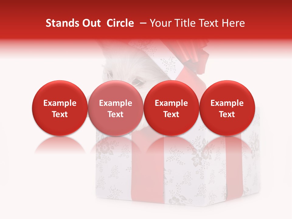 Year Canine Beautiful PowerPoint Template