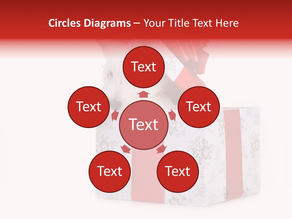 Year Canine Beautiful PowerPoint Template