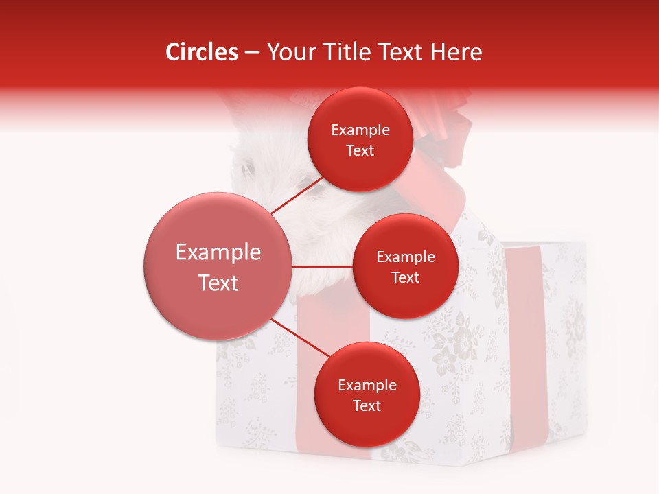 Year Canine Beautiful PowerPoint Template