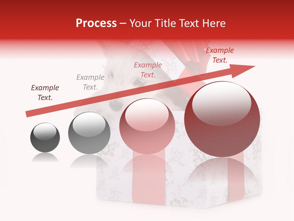 Year Canine Beautiful PowerPoint Template