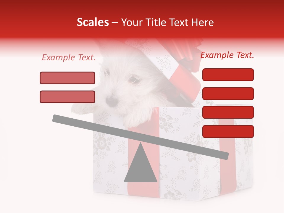 Year Canine Beautiful PowerPoint Template
