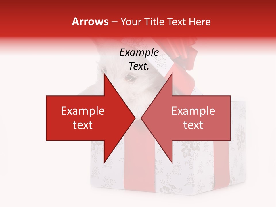 Year Canine Beautiful PowerPoint Template