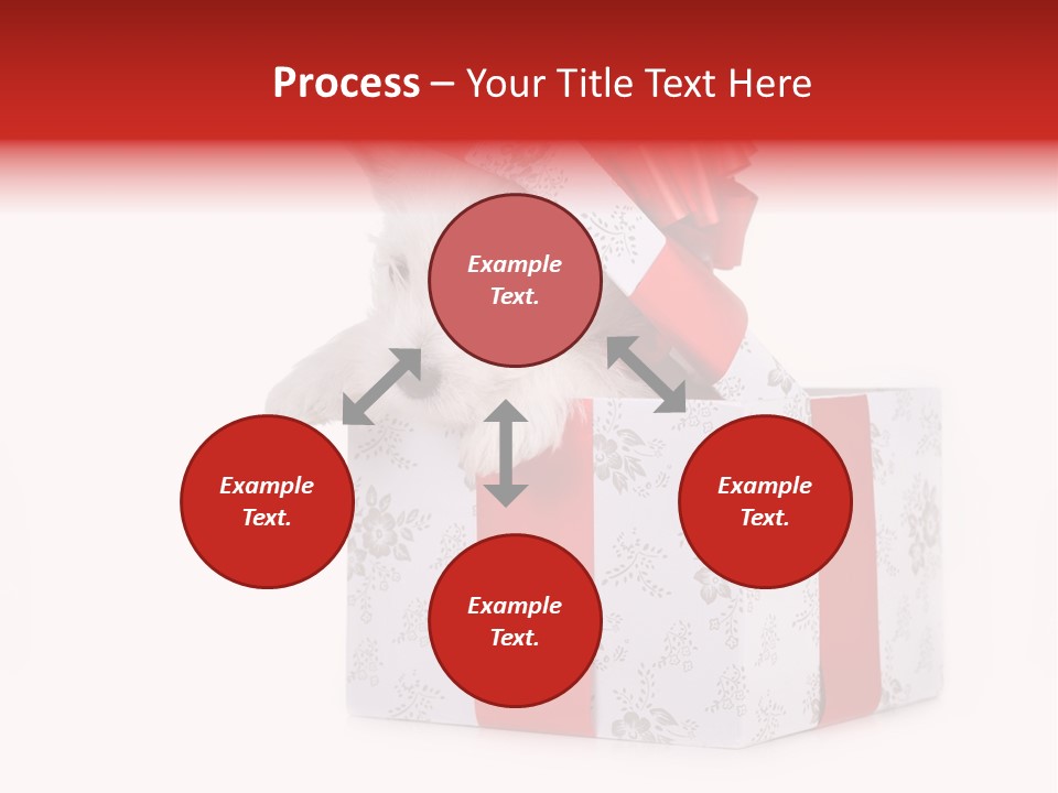 Year Canine Beautiful PowerPoint Template