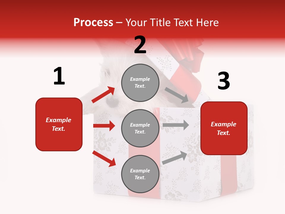 Year Canine Beautiful PowerPoint Template