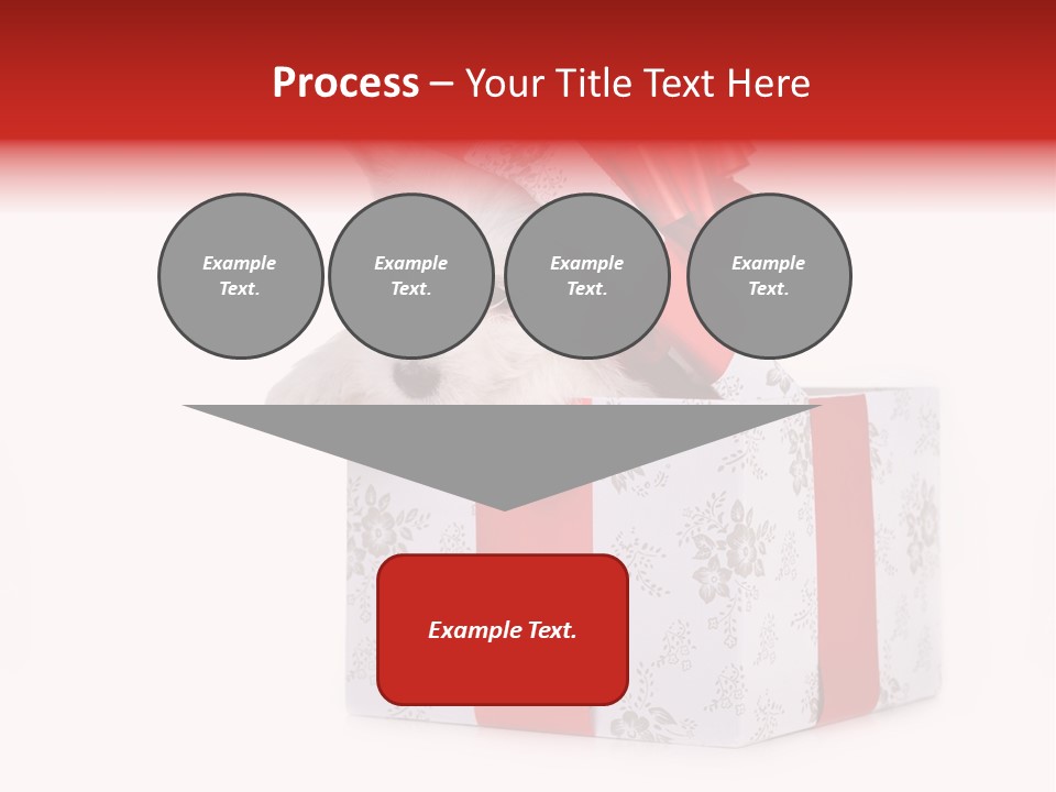 Year Canine Beautiful PowerPoint Template