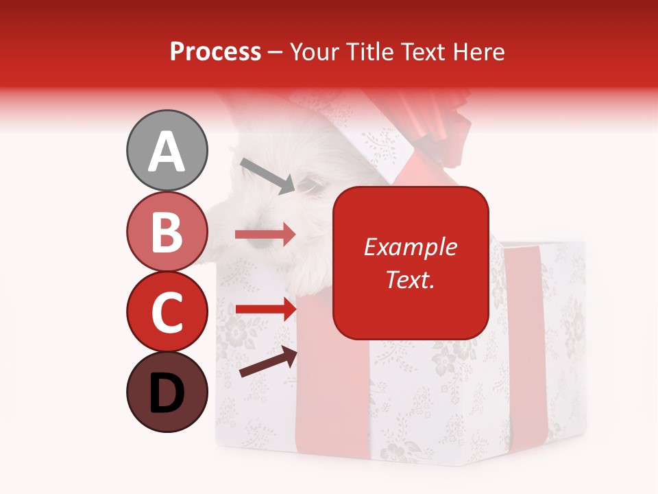 Year Canine Beautiful PowerPoint Template