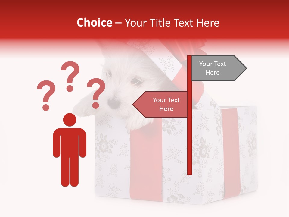 Year Canine Beautiful PowerPoint Template