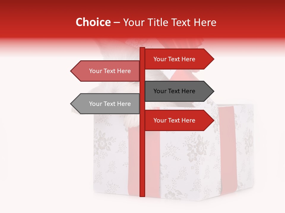 Year Canine Beautiful PowerPoint Template