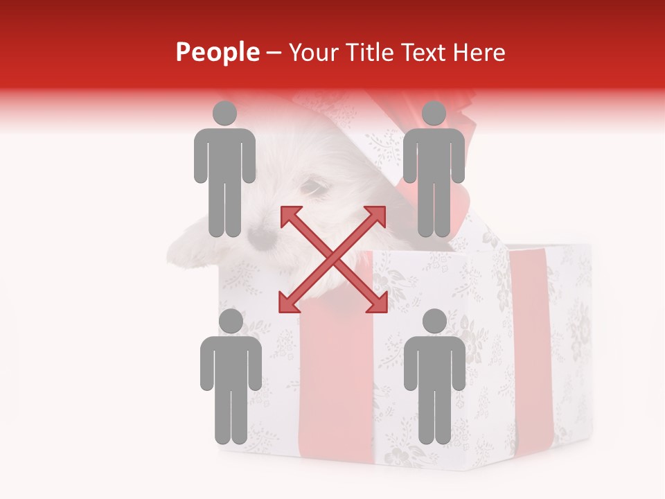 Year Canine Beautiful PowerPoint Template