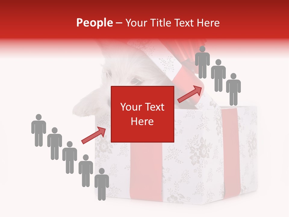 Year Canine Beautiful PowerPoint Template