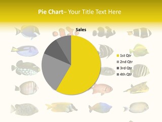 Dive Collection Salt PowerPoint Template