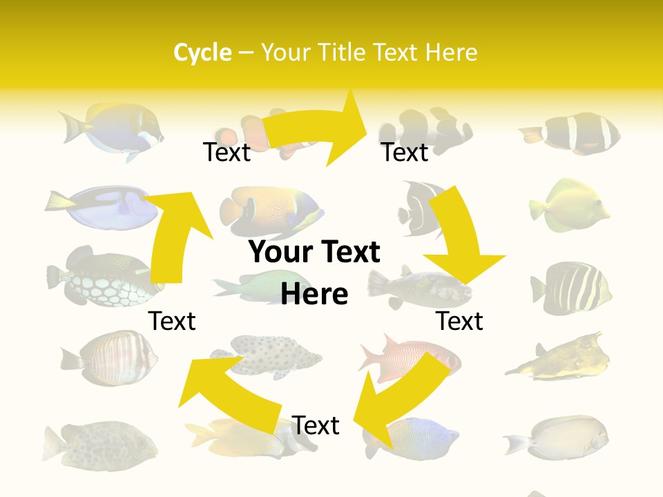 Dive Collection Salt PowerPoint Template